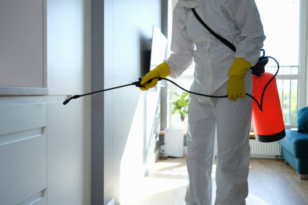 Best Mold Removal Company Near Me  in Huntertown, IN