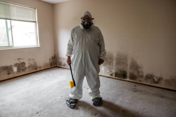 Best Local Mold Removal Service  in Huntertown, IN